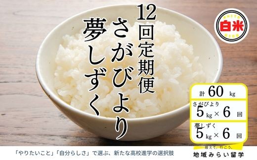 
                  【定期便セット】佐賀県産米5kg×12回(さがびより・夢しずく)
                