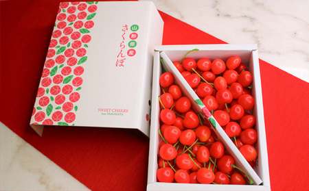 ☆フルーツ王国山形☆さくらんぼ 佐藤錦 700g 【令和7年産先行予約】FS24-778