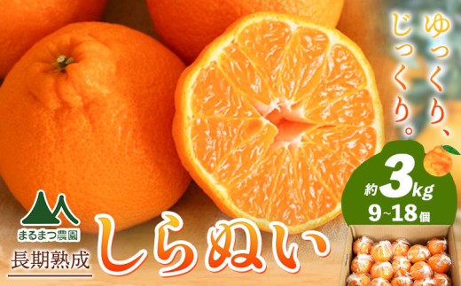 長期熟成 しらぬい 約3kg (9-18個) まるまつ農園《5月上旬-6月上旬頃出荷》 和歌山県 日高川町 不知火 柑橘 しらぬい 熟成 長期熟成 果物 フルーツ