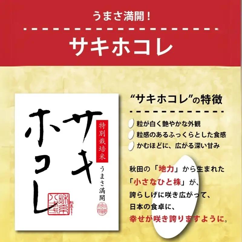 【新米予約】定期便2か月 サキホコレ 無洗米 10kg サキホコレ