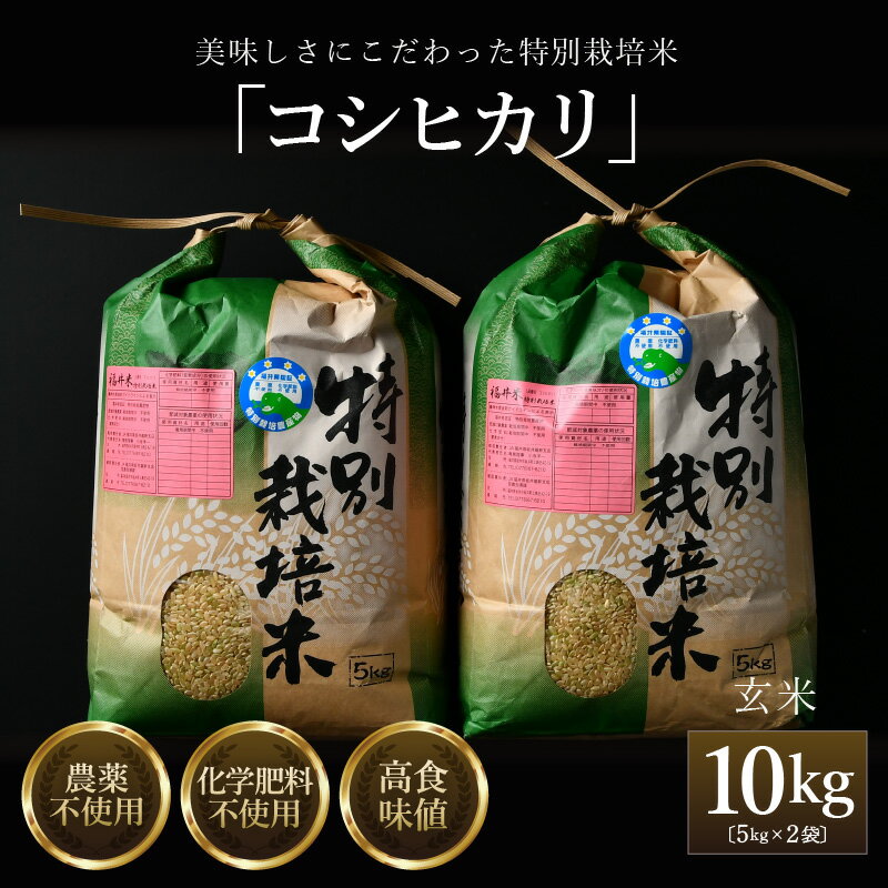 【ふるさと納税】コシヒカリ 玄米 5kg×2袋（計10kg） 特別栽培米 農薬不使用 化学肥料不使用【選べる年産：令和6年産 / 令和7年産 / 令和8年産】 ／ 米 お米 10kg 10キロ 高品質 鮮度抜群 福井県産 ブランド米
