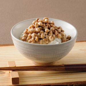 DL-8　【水戸納豆】伝統の味　経木納豆　16個入り