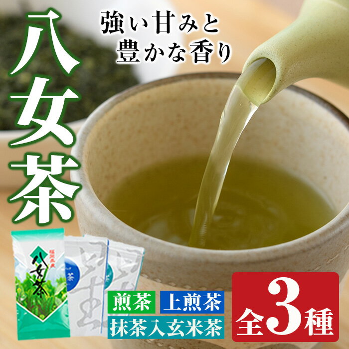 【ふるさと納税】福岡県産八女煎茶とティーバッグ(上煎茶・抹茶入り玄米茶)詰め合わせ(計650g) お茶 緑茶 八女茶 小分け 常温 常温保存 【ksg0214】【お茶の星陽園】