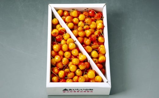 さくらんぼ（佐藤錦か紅秀峰）１ｋｇ　ご家庭用　0020-2603