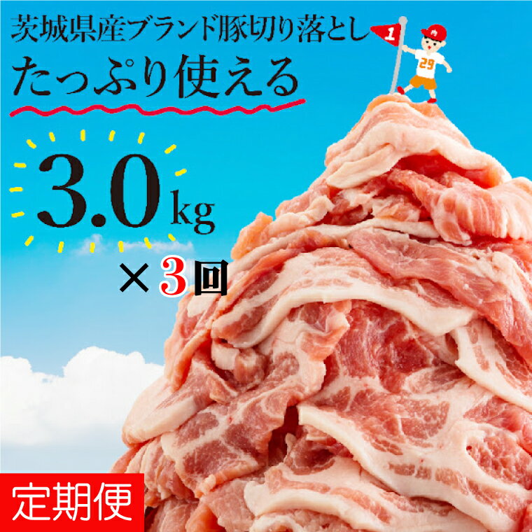 【ふるさと納税】数量限定 3か月定期便 リピーター続出！茨城県産ブランド豚切り落とし計9kg(3kg×3回)肉 豚肉 切り落とし こま切れ 小分け 訳あり 真空 真空パック 冷凍 国産 茨城県産 産地直送 肩ロース モモ バラ 高評価 人気 内田本店 茨城県 水戸市（EC-102）