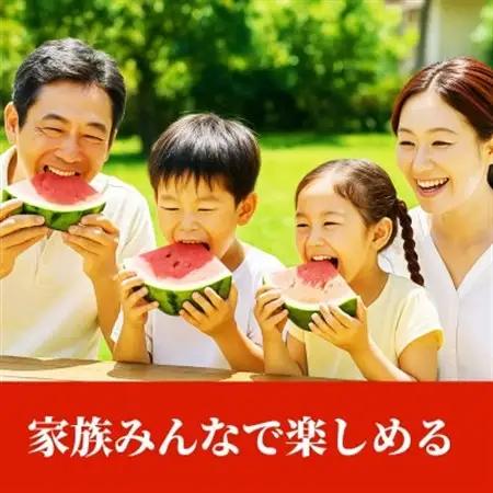 【先行予約】 熊本県産 甘い ご家庭用 大玉すいか スイカ 約8kg以上(1玉入り)(益城町)【1684336】