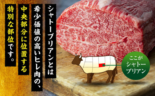 シャトーブリアン ステーキ 400g（200g×2）＜肉のくまもと屋＞那珂川市 シャトーブリアン 博多和牛 A4ランク 以上 ステーキ 赤身 厳選 ヒレ 和牛 牛肉 ステーキ 焼肉 シャトーブリアン 