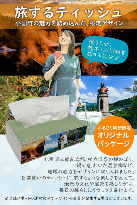 【令和8年4月～出荷】ティッシュペーパー ピュアパルプ ソフトパックティッシュ 60パック×400枚 200組 柔らか コンパクト 日用品 必需品 まとめ買い 常備品 備蓄 防災グッズ 熊本県 小国町