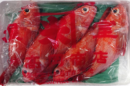 【北海道根室産】鮮キチジ(めんめ、キンキ) D-52001