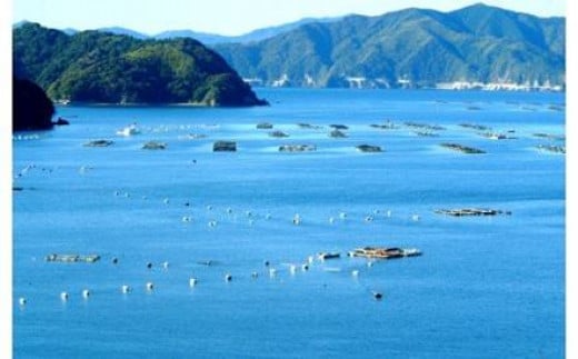 純米大吟醸【美丈夫 舞】純米【須崎】1.8L 2本 セット 【地酒】