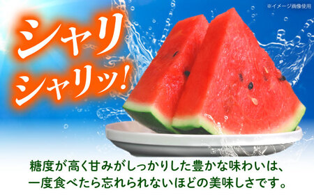 【先行予約】 【数量限定】大玉スイカ 約7kg以上（1玉） 【とみおか農園】[ZEM004]