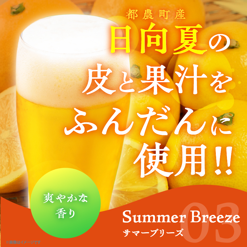 都農クラフトビール詰め合わせ6本セット_T016-003【酒 アルコール 飲料 国産 人気 ギフト お酒 地酒 晩酌 BBQ 贈り物 お土産 送料無料 プレゼント】
