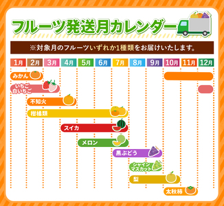 【 定期便 2回 】 まるごと 堪能 ！ 人気 フルーツ （ いちご 白いちご みかん 不知火 スイカ メロン ぶどう シャインマスカット 梨 柿 果物 ）