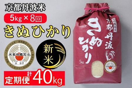 新米 定期便 令和7年産 【8回定期便】 白米 きぬひかり 5kg ◇◆◇