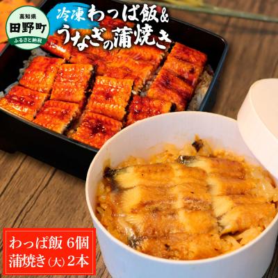 ふるさと納税 田野町 ★四国一小さなまち★田野町産うなぎのわっぱ飯6個+田野町産うなぎの蒲焼き(大)2尾