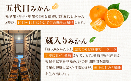 五代目・蔵入りみかん4.5kg×2回／ふるさと納税 佐賀 みかん オレンジ フルーツ濃厚 甘い 酸味 大町 贈答 ギフト 贈り物 42ik-005