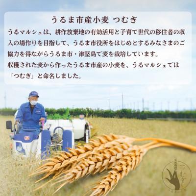 ふるさと納税 うるま市 うるま市産小麦つむぎ 沖縄そば 軟骨ソーキセット 8人前 |  | 03