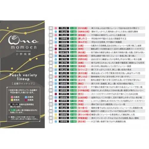 2027年発送先行受付《激レア縁起深い白い桃甘々燦々》人気品種指定ギフト5年連続TV出演話題ブランド【配送不可地域：離島・北海道・沖縄県・中国・四国・九州】【1465337】