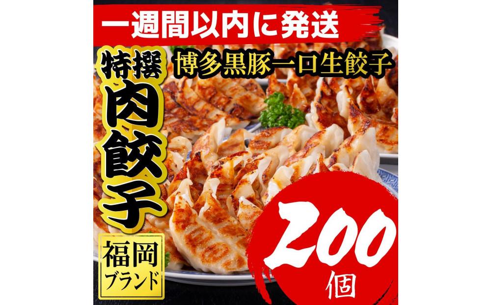 博多黒豚一口生餃子 200個入 (8パック) 冷凍便