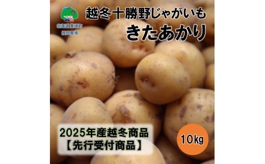 越冬十勝野じゃがいもきたあかり10kg【2026年春出荷】（先行受付）［按田農場］