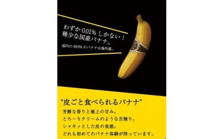 国産バナナNEXT716「6本」レギュラーサイズ【国産 バナナ 無農薬 フルーツ 果物 デザート 朝食 スムージー バナナ】