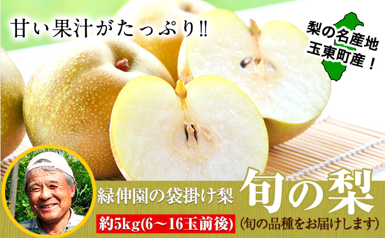 『緑伸園』旬の梨(旬の品種をお届けします！) 《8月中旬-9月下旬頃出荷》 約5kg 6-16玉前後入り 果物---gkt_rke_2_5kg---