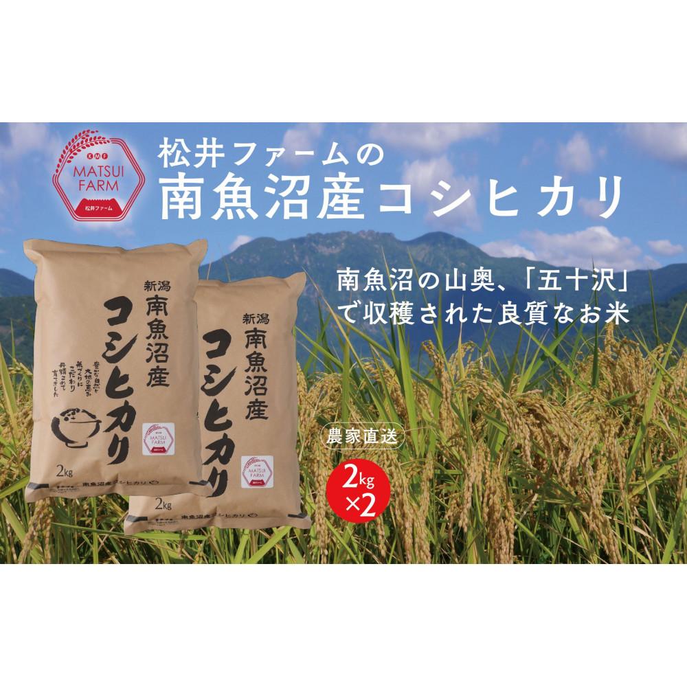 【ふるさと納税】【令和8年産新米予約】南魚沼産コシヒカリ（4kg)【2026年10月上旬より1ヶ月以内に順次発送予定】