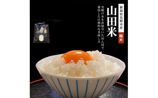 【ファーム喜左ヱ門】令和7年産 山田米 精米（白米)　10kg