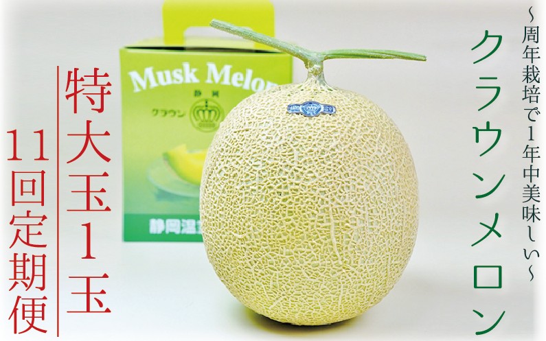 【11ヶ月定期便】クラウンメロン（白等級）特大玉　1玉入 　果物 フルーツ デザート メロン マスクメロン 青肉 高級 ギフト 贈り物 静岡県産 袋井市