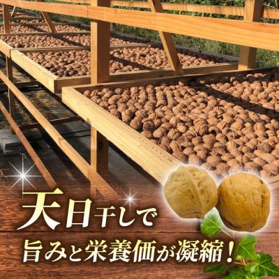ふるさと納税 東御市 【アルファーム】令和7年産 信濃くるみ　剥きタイプ(300g)※150g×2袋 |  | 02