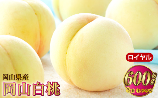 岡山白桃 ロイヤル 3玉×約200g（Lサイズ） 計約600g 岡山県産【2025年7月上旬～8月下旬発送予定】 白桃 桃 もも モモ