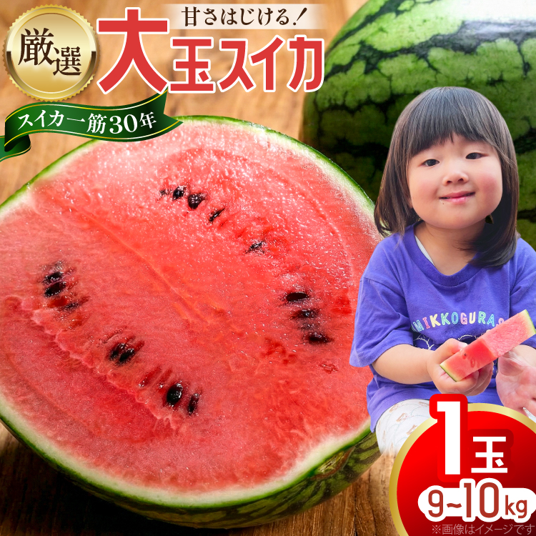 BJ698 【令和9年出荷分】 Farm honda 大玉スイカ 1玉 9kg-10kg [ スイカ すいか 西瓜 大玉すいか 肥後浪漫 羅皇ザ・スイート 羅王 ラオウ らおう あまい 本多光則農園 長崎県 島原市]