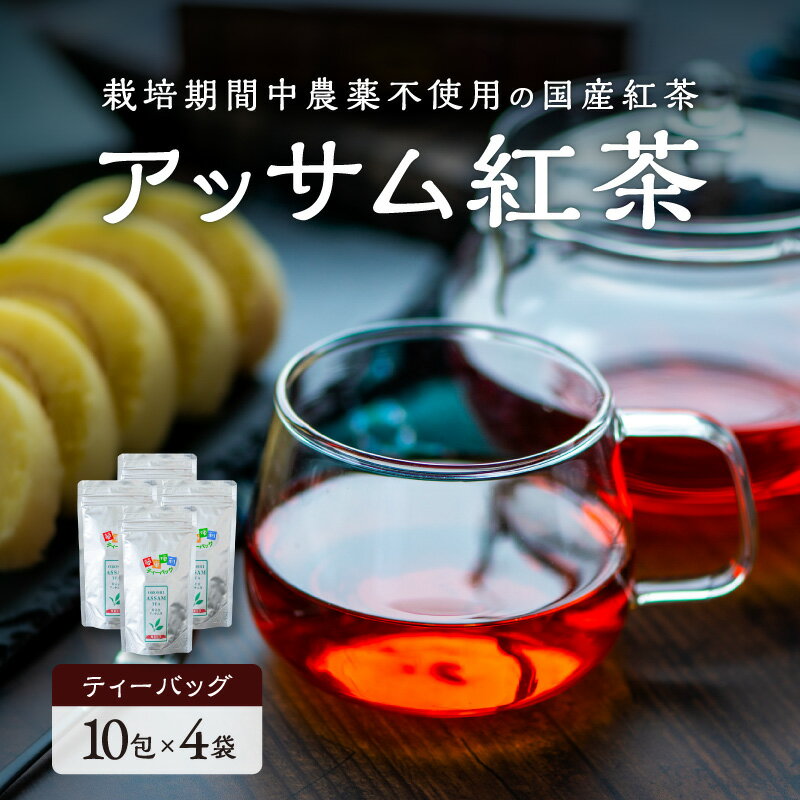 【ふるさと納税】アッサムTea21 紅茶 アッサムティー ティーバッグ 10袋×4個 国産 │ 紅茶 茶葉 和紅茶 アッサム アッサム紅茶 アッサム茶 アッサムティー 国産 国産紅茶 ティーバッグ 栽培期間内農薬不使用 あっさり