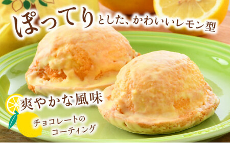 [031-a002_A] レモン果汁たっぷりの名物レモンケーキ 10個入り 
