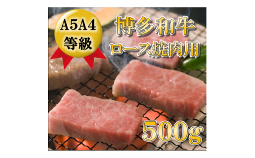 
＜A5A4等級使用＞博多和牛ロース焼肉用500g(吉富町)【1330188】
