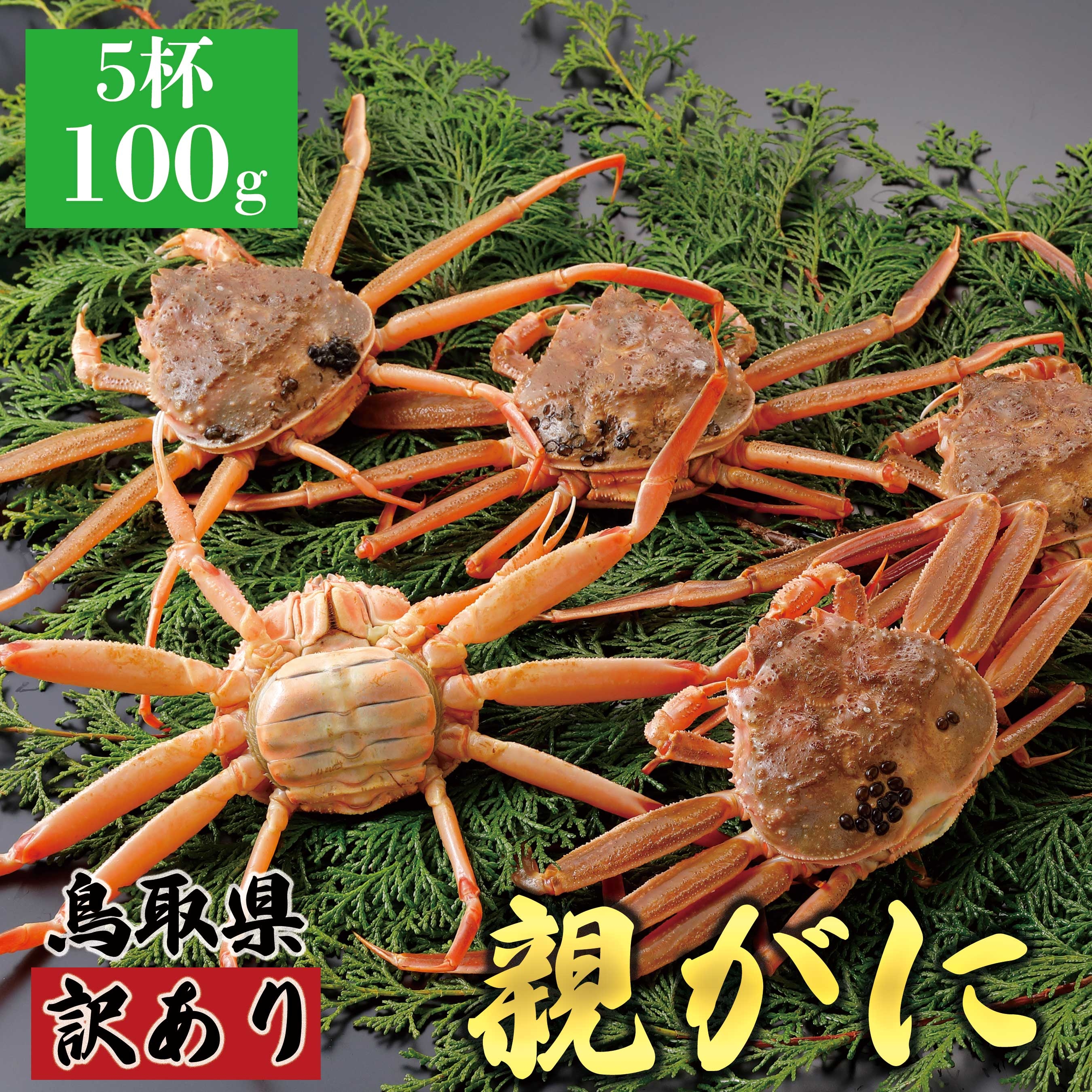 
            【活物】訳あり親ガニ(セコガニ) 100g　5杯
          