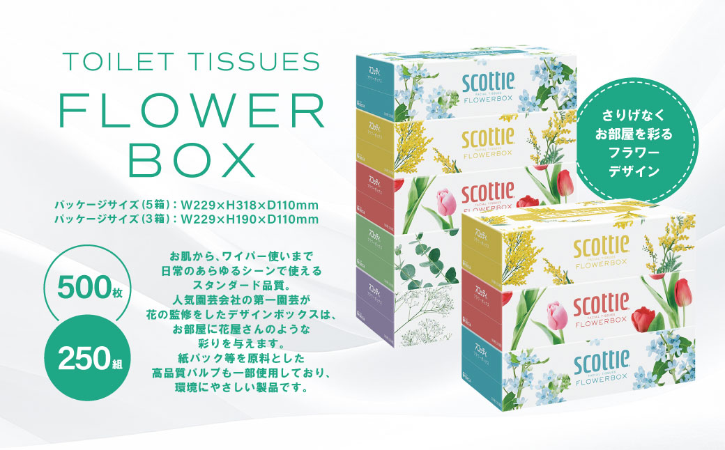 【定期便3回】【毎月1回お届け】【スコッティ】ティシュー フラワーボックス 250組（5箱パック×1セット）＋フラワーパック 3倍長持ち（4ロール(ダブル)パック×3セット）ティッシュ トイレットペー
