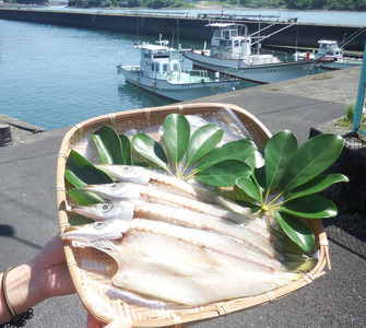 旬の干物９袋おまかせセット　【R00771】