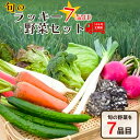 【ふるさと納税】＜10回定期便＞旬のラッキー7野菜セット（野菜7種詰合せ）　【11218-0135】　# 定期便 野菜 深谷ねぎ 深谷 深谷市