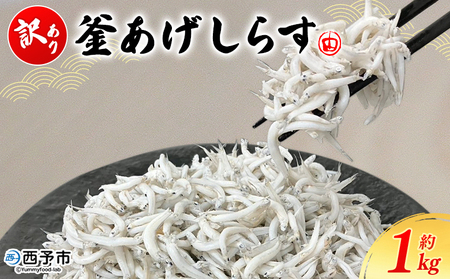 ＜訳あり 釜あげしらす 約1kg＞ 減塩 老舗網元 釜揚げ しらす シラス 海鮮 ちりめん 海産物 丼 おにぎり 具材 ご飯 おつまみ おやつ 小魚 国産 1キロ マルヨシ水産 特産品 愛媛県 西予市【冷凍】『1か月以内に順次出荷』AMS0019