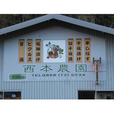 ふるさと納税 美作市 辛しなす　6パックセット |  | 03