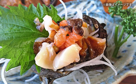 【全12回定期便】サザエ 2kg 13~20個 三浦半島 さざえ サザエ さざえ サザエ 【長井水産株式会社】 [AKAJ024]