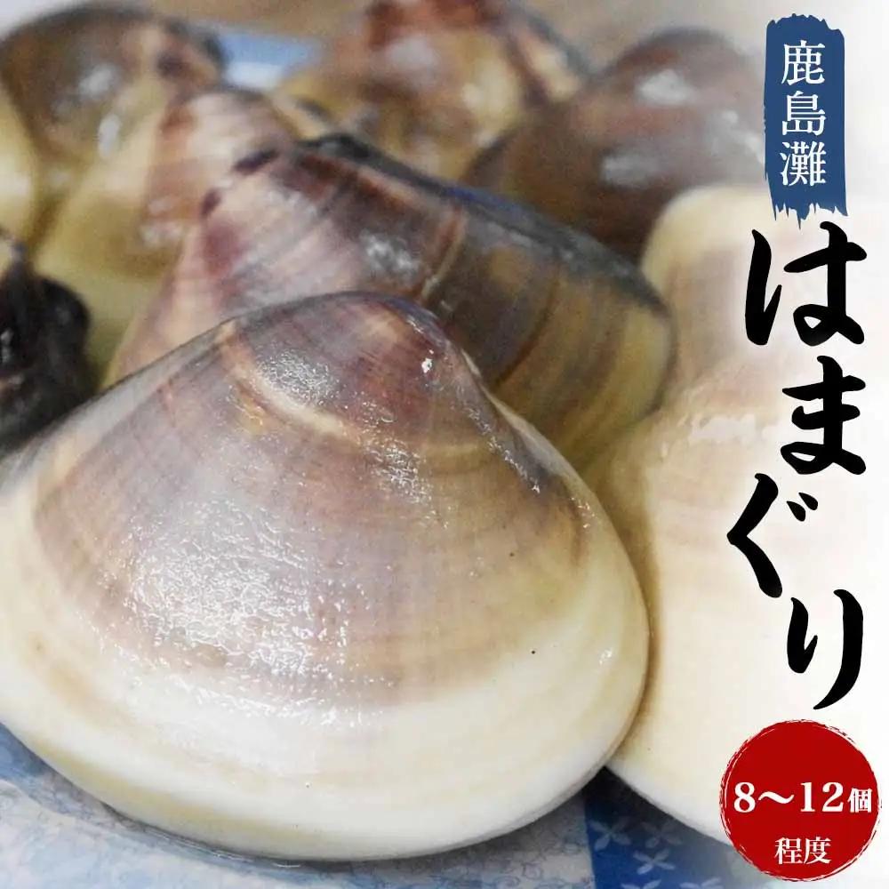 鹿島灘はまぐり 8~12粒 砂抜き はまぐり hamaguri
