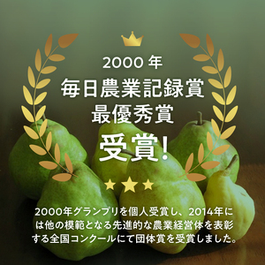 【2026年先行予約】西洋梨・ラフランスジュース詰め合わせセット　梨3～4個 ジュース 100％ 720ml 1本 フルーツ 果物 甘い ジューシー 糖度14度以上 飲料 安全安心 高品質 プレミアム
