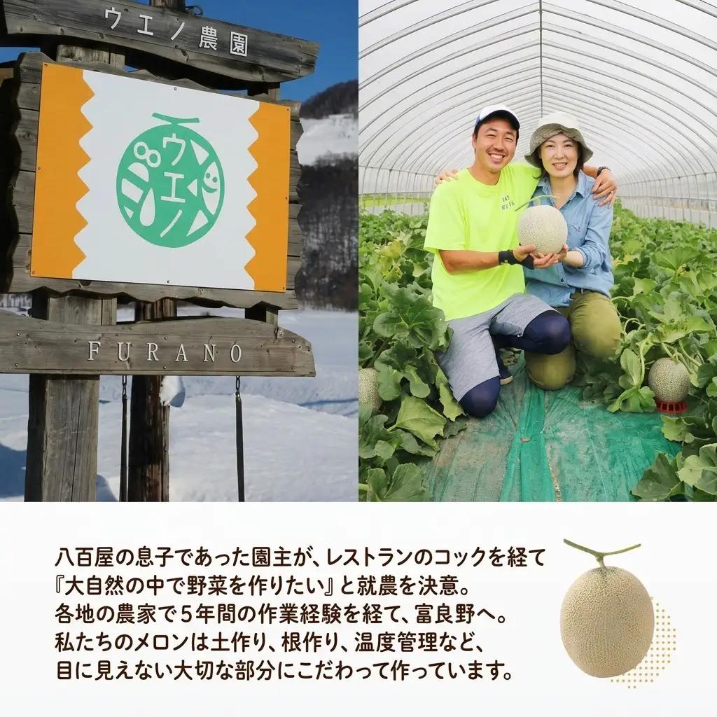 〈2027年発送〉メロン 富良野産 しあわせのメロン 赤肉 大玉 メロン【1玉 約2.3kg】