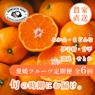 【発送月固定定期便】愛媛の美味しい柑橘 人気6品種 まどんな・甘平・せとか等【H70−41】全6回【4055158】
