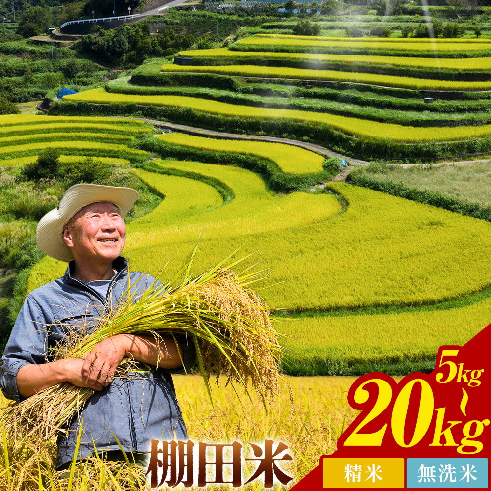 【ふるさと納税】清流と寒暖差が生む村自慢の棚田米 精米 無洗米 5kg～20kg《1月中旬-2月下旬》徳島県 佐那河内村 お米 米 白米 送料無料