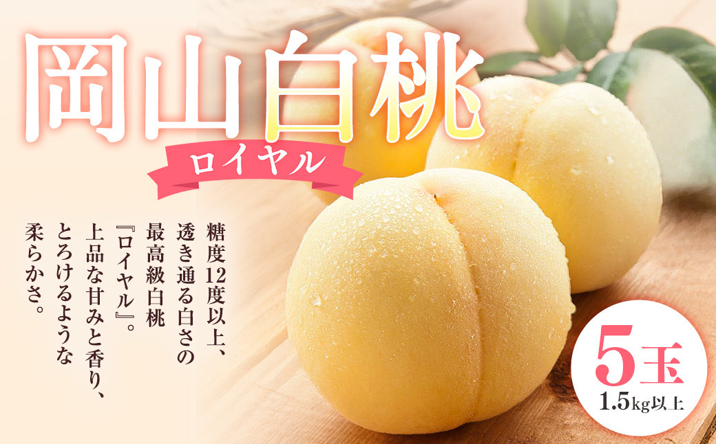 
            岡山 白桃 ロイヤル 5玉 （合計1.5kg以上） 化粧箱入り 【2026年7月上旬～8月上旬迄発送予定】 はくとう モモ もも 桃 フルーツ 果物 くだもの 冷蔵
          