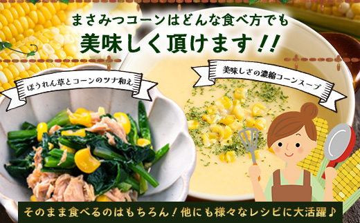 予約受付 スイートコーン （ゴールドラッシュ）9~10本 | 朝採れ 冷蔵発送 とうもろこし トウモロコシ コーン 野菜 高糖度 春 夏 旬 鹿島市産 佐賀県産 【2026年5月中旬～順次発送】佐賀県