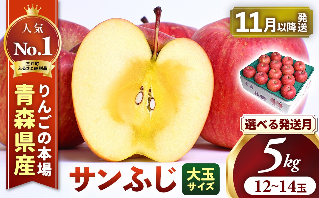 
                  りんご【サンふじ】約5kg（12～14玉・大玉サイズ）【2026年産・先行予約】★選べる発送月★ 青森県三戸町産 アップル 林檎 フルーツ 果物 果実 青森県産 三戸 贈答 ギフト プレゼント 産地直送 農家直送 送料無料  青森県三戸町 AK-25-P04
                